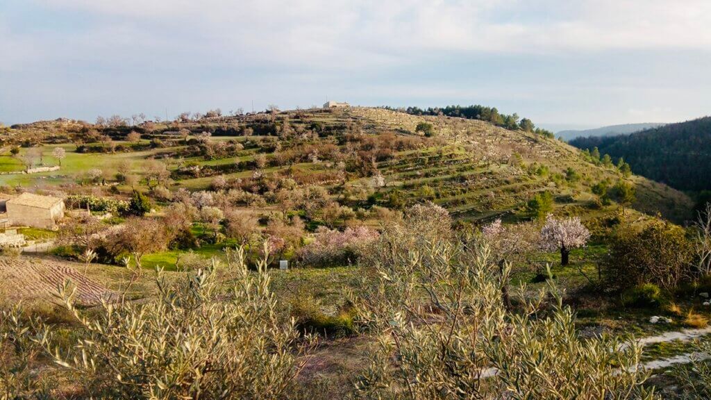 Sycylijski krajobraz wiejski i jego cisza